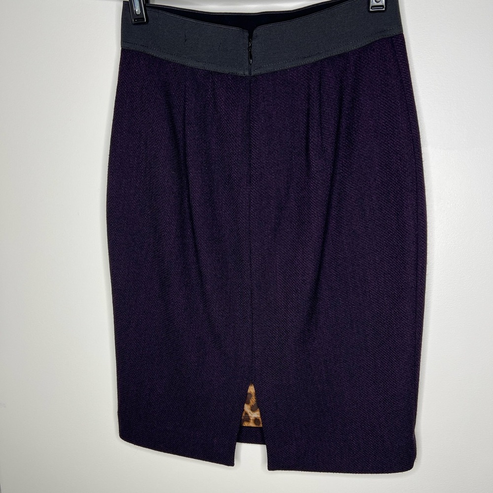 Express Pencil Skirt